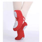 Soft Sole Baby Ballet Shoes for Chinese Dance