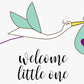 Organic full care new baby gift set - welcome little one!